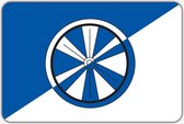 Vlag Aalsum/Ealsum - 70 x 100 cm - Polyester