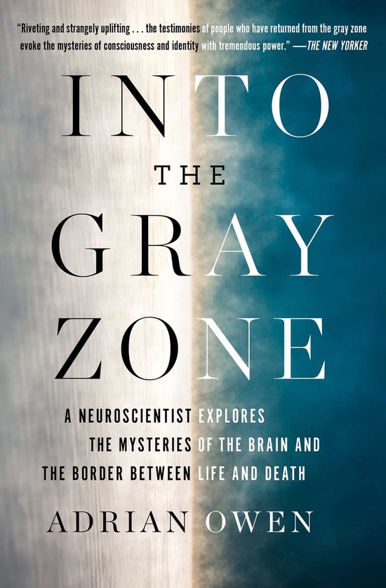 Into the Gray Zone - cover