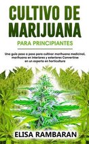 Cultivo de marijuana Para principiantes