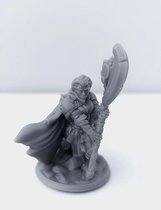 3D Printed Miniature - Cleric Female 02 - Dungeons & Dragons - Hero of the Realm KS