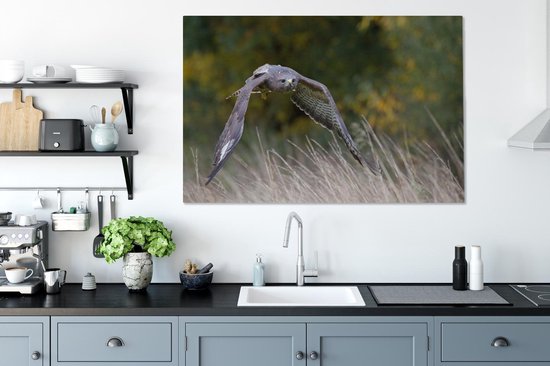 Une buse volant à basse altitude au-dessus des herbes colorées d'automne Toile 140x90 cm - Tirage photo sur toile (Décoration murale salon / chambre)