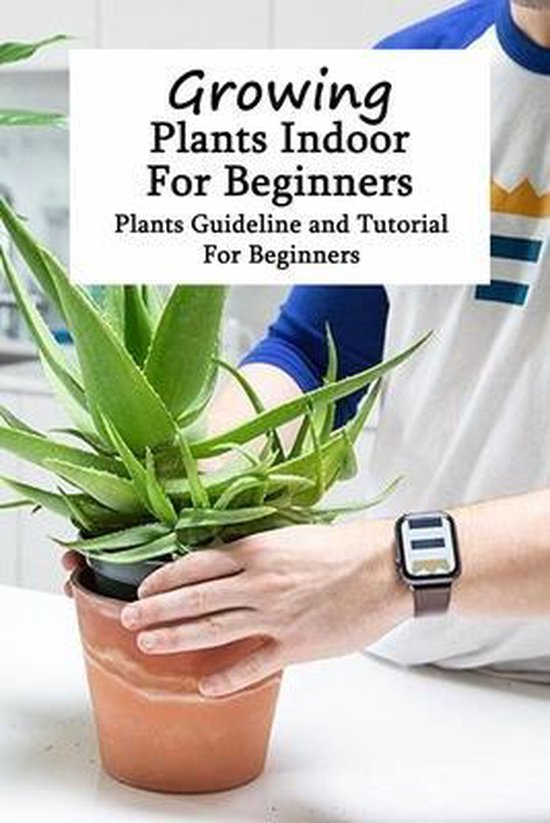 Growing Plants Indoor For Beginners Plants Guideline and Tutorial For