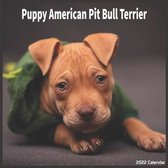 American Pit Bull Puppy 2022 Calendar