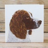 Kaart Springer Spaniel 15x15cm