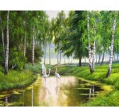 Premium Paintings - Schilderen op nummer - Reigers - Bos - Natuur - 40x50 cm - Met frame - Inclusief tools - Paint by number - Volwassenen - Kinderen