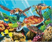Paint By Numbers - Schilderen op Nummer - Schildpadden in de Oceaan - 40x50cm - Volwassenen & Kinderen - Stipco