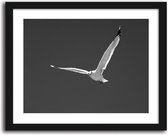 Foto in frame , Zeemeeuw ​, 70x100cm , Zwart wit  , Premium print