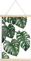 JUNIQE - Posterhanger Monstera plant -60x90 /Groen & Wit