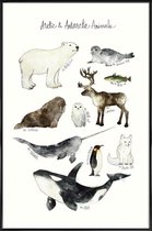 JUNIQE - Poster in kunststof lijst Pooldieren illustratie -60x90