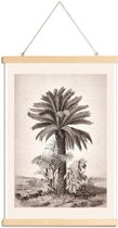 JUNIQE - Posterhanger Sago Palm -40x60 /Grijs & Ivoor