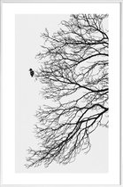 JUNIQE - Poster met kunststof lijst Winter Bird -13x18 /Grijs & Wit