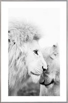 JUNIQE - Poster met kunststof lijst A Softer Side -40x60 /Grijs & Wit