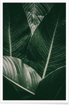JUNIQE - Poster Palm Drops -40x60 /Grijs & Ivoor