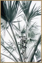 JUNIQE - Poster met kunststof lijst Beach Palm Fruits -13x18 /Grijs &