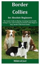 Border Collies for Absolute Beginners