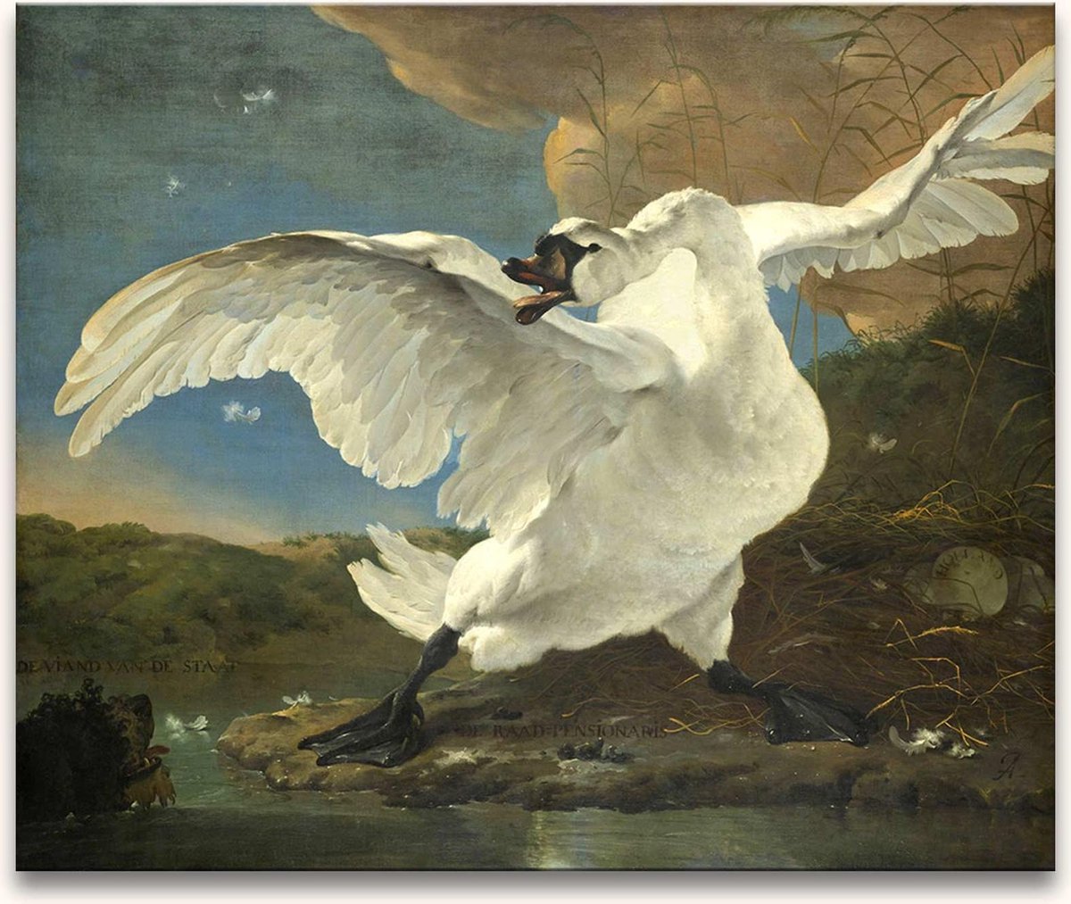 Handgeschilderd schilderij Olieverf op Canvas - Jan Asselijn - De Bedreigde Zwaan