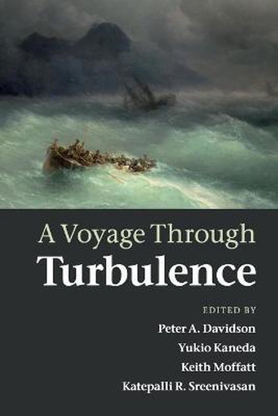 Voyage Through Turbulence