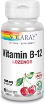 Vit B12 2000 Mcg - 90 Comprimidos Sublinguales