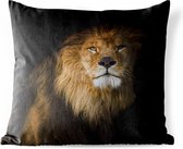 Buitenkussens - Tuin - Close-up van een leeuw op een zwarte achtergrond - 60x60 cm