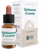 Radhe Ambientador Liquido Natural Canela-naranja