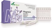 Soria Glucosor Magnesio 28 Viales X 2ml