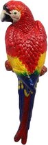 Gietijzeren beeld - Kleurrijke papegaai - Dieren sculptuur - 35,5 cm hoog