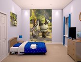 Walltastic Shrek - Fotobehang - 152 x 244 cm