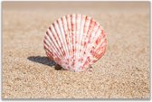 Tuinposter SeaShell