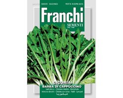 Franchi Lof, Cichorei, CicoriaBarba di cappuccino 40/65