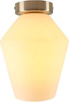 Olucia Hanae - Plafondlamp - Chroom/Wit - E27