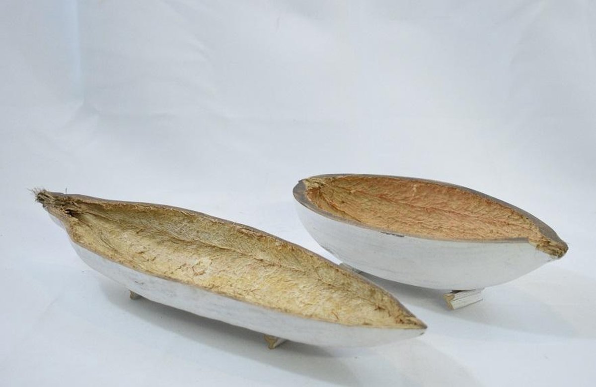 ZoeZo Design - 3 stuks - Vruchtbootje - hou - circa 34 x 11 x 5 cm. Let op: 100% natuurproduct - vorm kan verschillen - decoratiemateriaal - knutselen