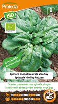 Protecta Groente zaden: Spinazie Viroflay Reuzen Biologisch