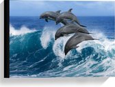 Canvas  - Vier Dolfijnen springend uit Golf - 40x30cm Foto op Canvas Schilderij (Wanddecoratie op Canvas)