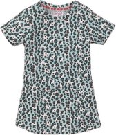 Dirkje - Leopard Dress - Blue-104