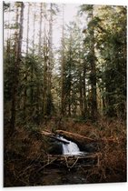 Dibond - Riviertje met Waterval in het Bos - 80x120cm Foto op Aluminium (Wanddecoratie van metaal)