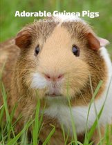 Adorable Guinea Pigs Full-Color Picture Book