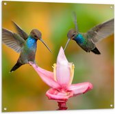 Tuinposter – Vogels met Roze Bloem - 100x100cm Foto op Tuinposter  (wanddecoratie voor buiten en binnen)