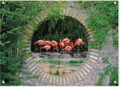 SCHUTTINGPOSTER Poster - Geheime Tuin Flamingos-dieren - 65 X 90 Cm - Multicolor