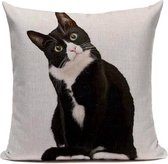 Kattenhebbedingen - voor de kattenliefhebber - Poes - Kat - Enkelsokken 4 -pack - Cute Cats