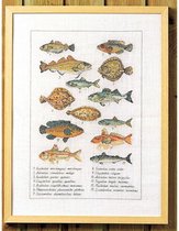 Fisch eavenwave borduurpakket - Permin