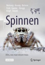 Spinnen - Alles, was man wissen muss