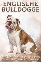 Englische Bulldogge