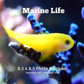 Marine Life 8.5 X 8.5 Calendar September 2021 -December 2022