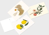 Made on Friday - Postcards Foliage (9 st.)   - A6