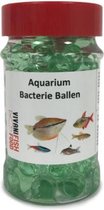 Aquarium Filter Bacterien