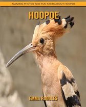 Hoopoe