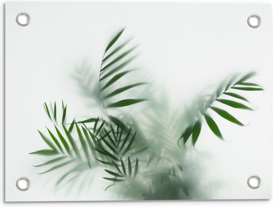 Tuinposter – Groene Takken tegen Mistig Raam - 40x30cm Foto op Tuinposter  (wanddecoratie voor buiten en binnen)