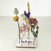 Bloomincard Sette - Droogbloemen - Hip cadeautje voor mama - Droogbloemen door de brievenbus met 'Best mam ever' kaart - 7 stuks in leuke cardboard kaart - 35 cm hoog
