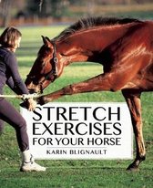 Stretch Exercises for Your Horse