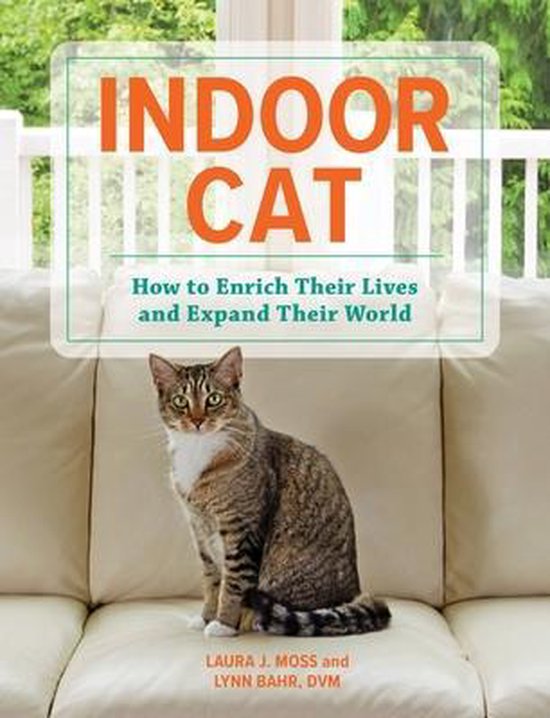 Een gestreepte kat zit op een crèmekleurige bank, met het boek 'INDOOR CAT' erboven.